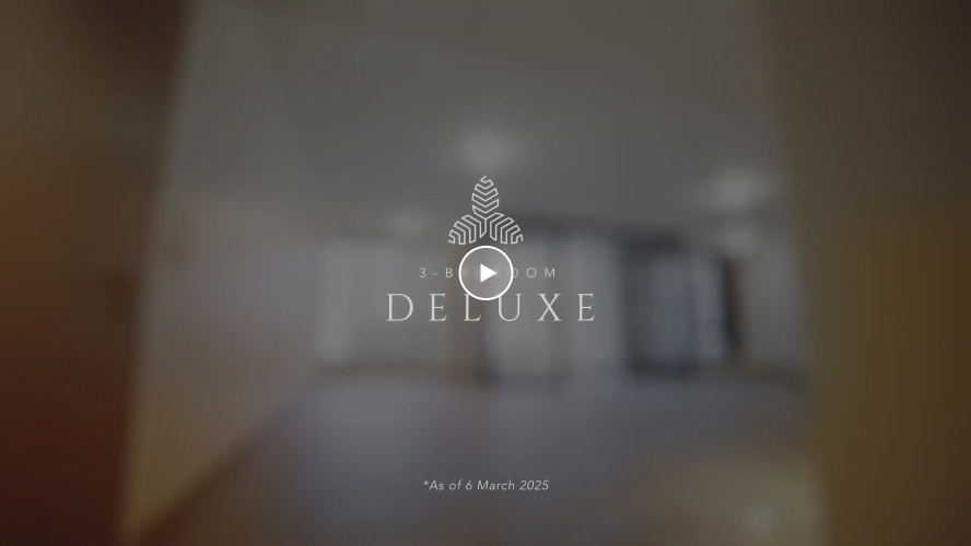 3BR Deluxe Walkthrough